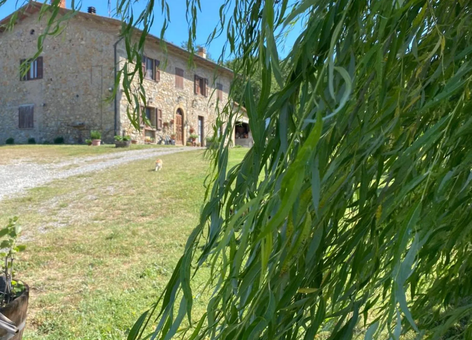 B&B Poderone Querceto
