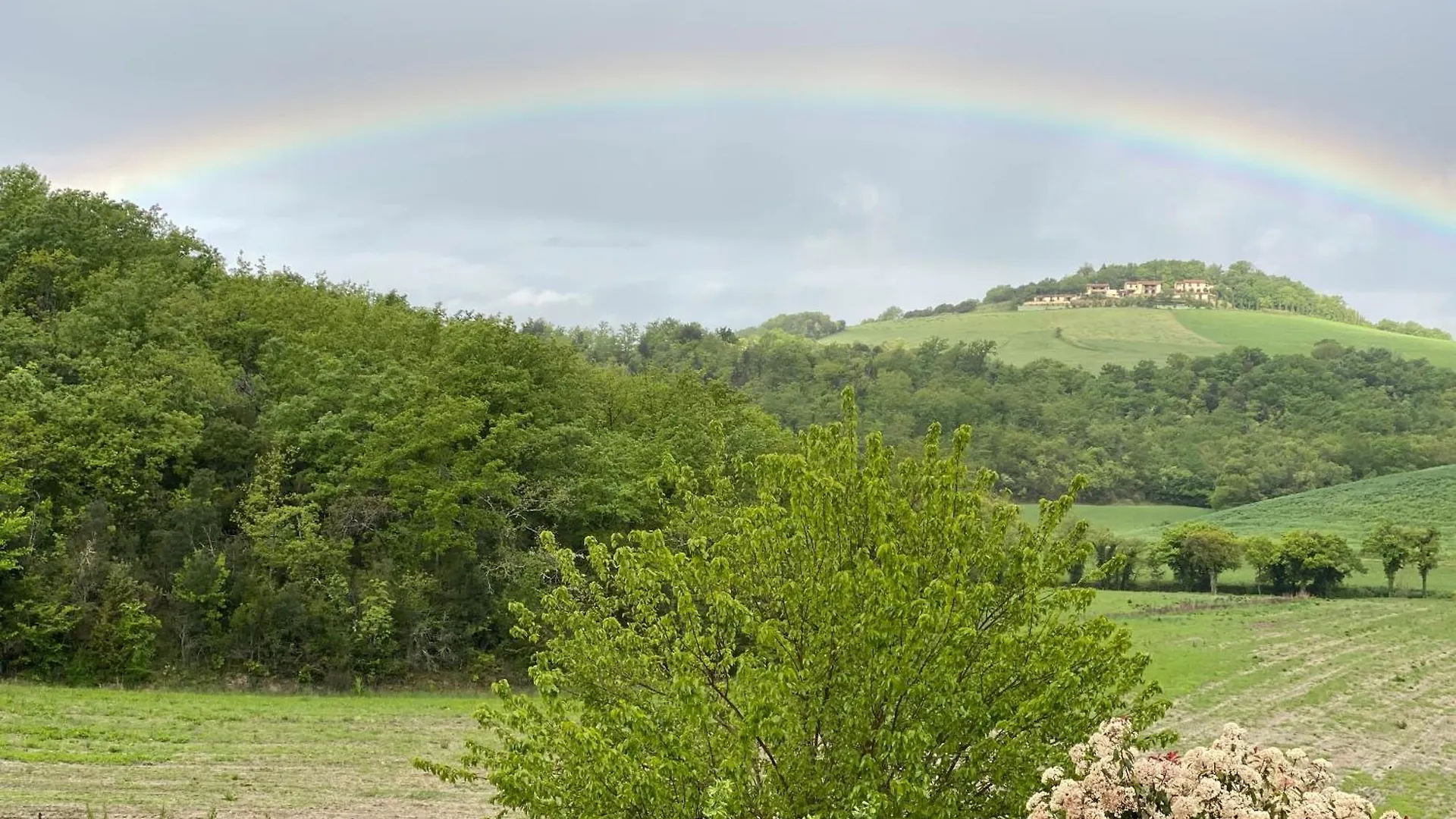 Homestay B&B Poderone Querceto