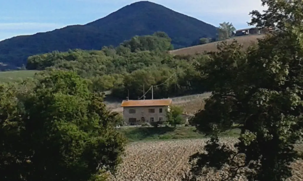 Homestay B&B Poderone Querceto