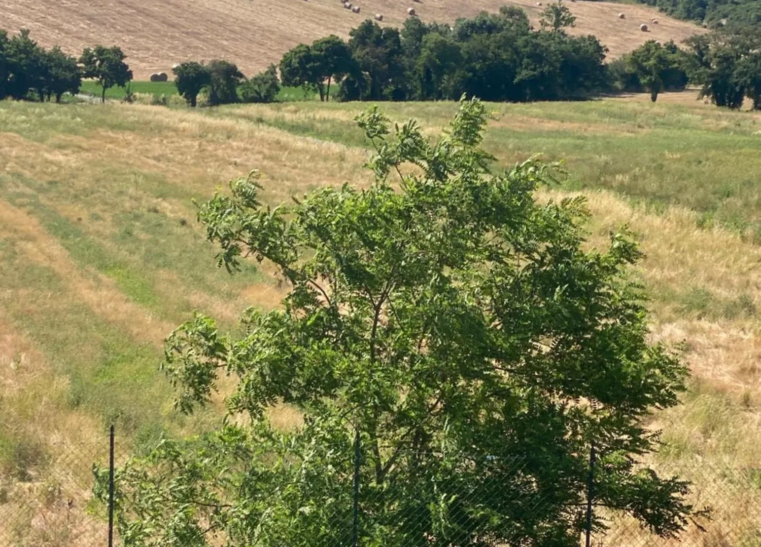 B&B Poderone Querceto  Δωμάτια σε οικογενειακή κατοικία Querceto (Montecatini Val di Cecina)